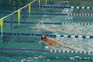 星空体育最新版-“2025世界游泳锦标赛:水上芭蕾展现不一样的艺术魅力” 第3张